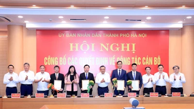 Điều động, bổ nhiệm cán bộ chủ chốt ở 4 tỉnh, thành phố