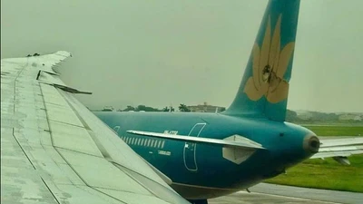 Đình chỉ 4 phi công trong vụ 2 máy bay va chạm tại sân bay