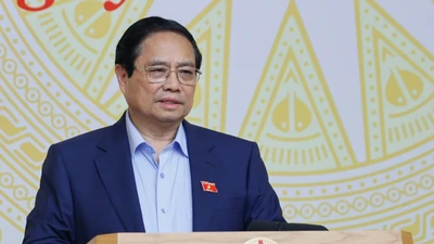 Thủ tướng chỉ đạo lập tổ công tác truy quét hàng giả 