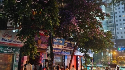 Cháy cửa hàng hoa ở Hà Nội, cảnh sát phá cửa cuốn để dập lửa