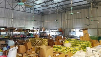 Bắt tạm giam đối tượng làm giả nhãn hiệu "Chè Thái Nguyên"