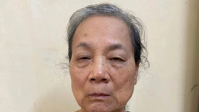 Nguyên nhân người phụ nữ chửi bới tại tòa án ở Tuyên Quang
