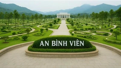 Xử phạt 350 triệu đồng đối với Công ty An Bình Viên do vi phạm môi trường