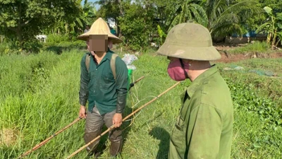Xử phạt 12 triệu đồng đối với 3 trường hợp dùng kích điện khai thác thủy sản 