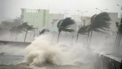 Bão Wipha sắp đổ bộ đất liền, nhiều tỉnh thành có mưa rất to 