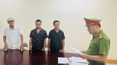 Bắt tạm giam cán bộ hải quan vì khai thác rừng trái phép