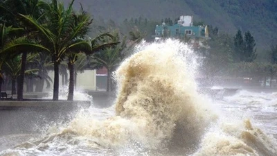 Bão Wipha vào Biển Đông, cảnh báo mưa lớn diện rộng