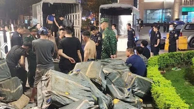 Thu giữ hơn 10 tấn thực phẩm đông lạnh nhập lậu ở Lào Cai