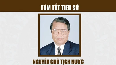 Tóm tắt tiểu sử nguyên Chủ tịch nước Trần Đức Lương