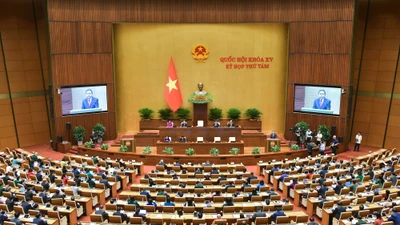 Chỉ định Chủ tịch, Phó Chủ tịch HĐND các tỉnh, thành phố