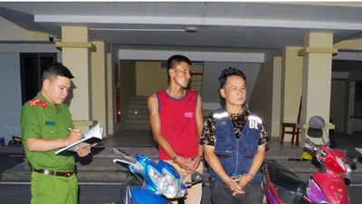 Bắt 2 đối tượng trộm cắp tài sản có 6 tiền án, 31 tiền sự ở Ninh Bình