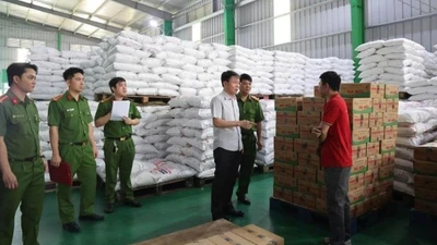Khởi tố nhiều đối tượng liên quan đường dây sản xuất mì chính, hạt nêm giả
