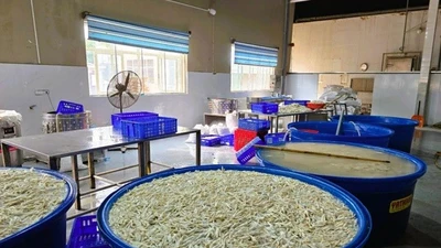 Phát hiện hơn 13 tấn chân gà ngâm hóa chất ở Thanh Hóa