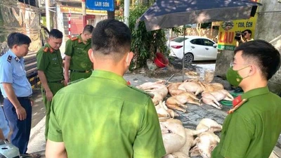Gần 800 kg thịt lợn hôi thối suýt bị tuồn ra thị trường