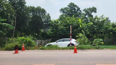 Đang làm việc dưới ruộng, cụ bà 78 tuổi bị ô tô tông tử vong