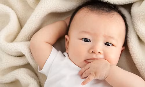 Video: Đẻ con trai là 4 con giáp này, cha mẹ lấy túi đựng tiền không hết