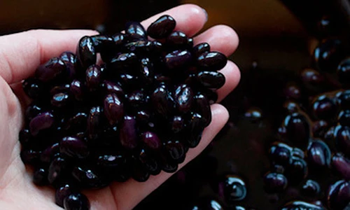 Video: Cách dùng đỗ đen trị dứt bệnh gout, đau mấy cũng khỏi 