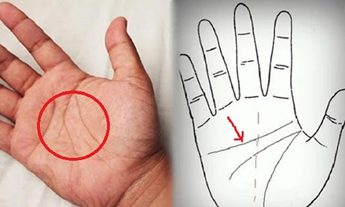 Video: Xem tướng bàn tay biết ngay giàu nghèo sướng khổ