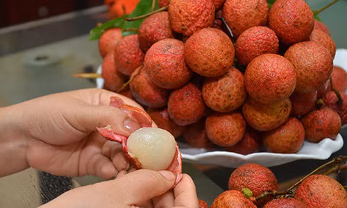 Video: Ăn 5 quả này mỗi ngày ung thư, đột quỵ lập tức tránh xa