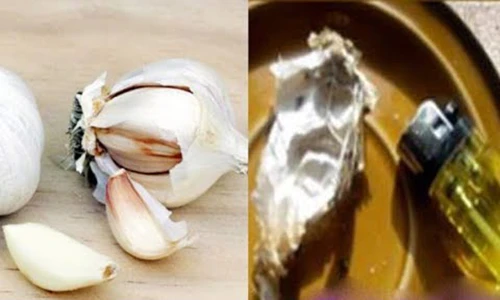 Video: Đốt củ tỏi giữa nhà, mẹo hay ai cũng nên làm ngay tối nay