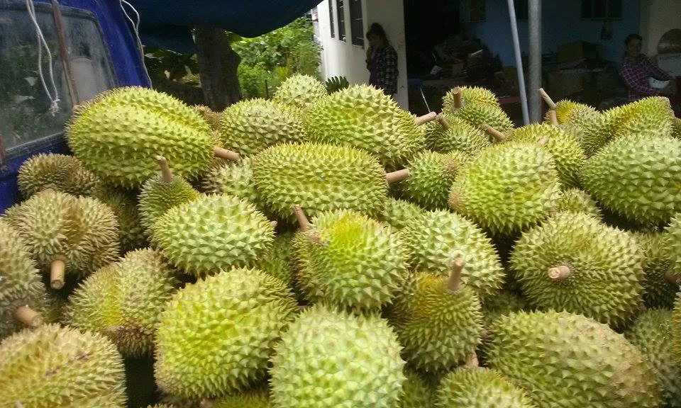 Video: 8 loại quả rút cạn tài lộc tuyệt đối không đặt lên bàn thờ 