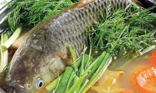 Video: Những bài thuốc chữa bệnh tuyệt vời từ cá chép