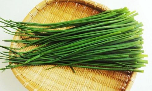 Video: 6 loại cây lá trong vườn chữa bong gân cực kỳ hiệu nghiệm