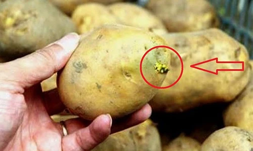 Video: 2 loại thực phẩm “cực độc” với gan bạn nên tránh xa