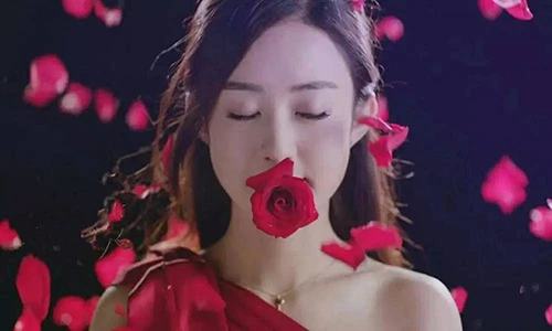 Video: Top con giáp thành đại gia sau 1 đêm, tiền chất đầy nhà năm 2018