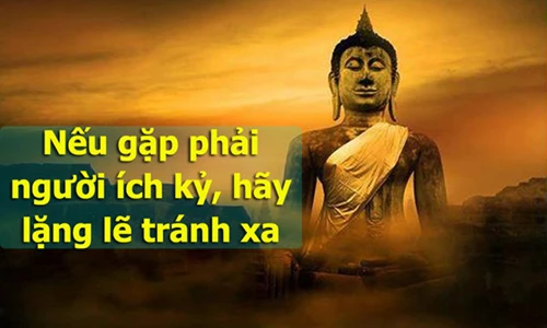 Video: Người thông minh đối phó với kẻ dối trá ích kỷ thế nào?