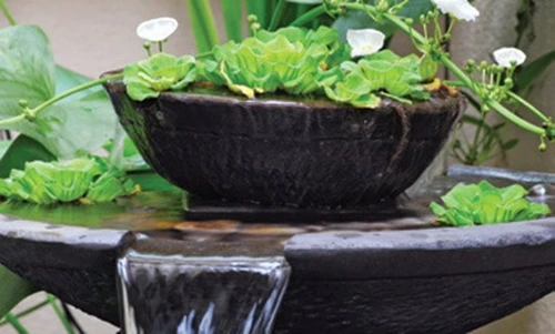 Video: 2 vật báu đặt trong nhà giúp hóa giải mọi vận xui cho gia chủ