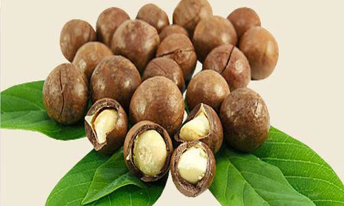 Video: Công dụng “thần thánh” của hạt macca đối với sức khỏe