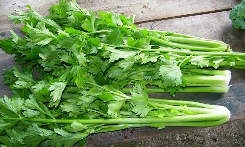 Video: Các món ăn trị thiếu máu hiệu quả nhất