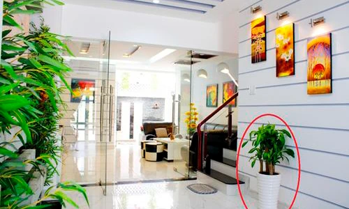 Video: 10 điều đại kỵ phong thủy nhà ở khiến gia đình nghèo mạt vận