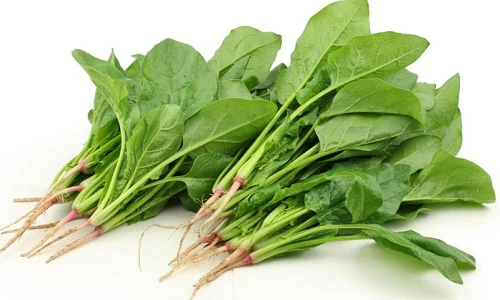 Video: Những loại rau tốt cho máu mà ít ai biết để tận dụng