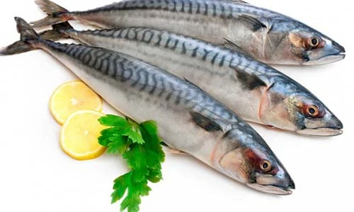 Video: 11 loại cá ăn hàng ngày, không lo bị bệnh