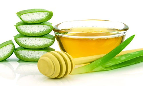 Video: Lợi ích sức khỏe từ lô hội và mật ong nhiều người Việt chưa biết