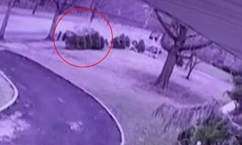 Video: Tai nạn khiến xế hộp lao vào cây, vỡ làm đôi