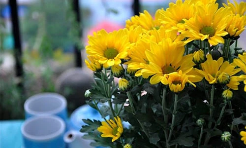 Video: Đặt 5 chữ này cạnh bàn thờ phú quý bình an suốt cuộc đời