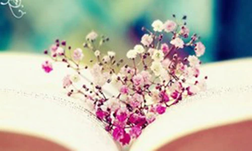 Video: 7 loại hạnh phúc chỉ người thông minh biết quý trọng