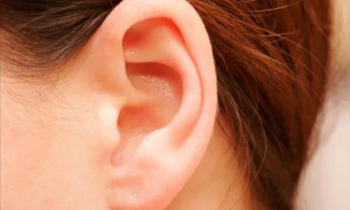 Video: Bạn sẽ sống rất trường thọ nếu có 3 đặc điểm này ở tai