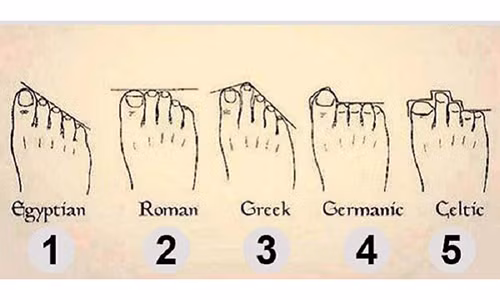 Video: Tương lai sang hay hèn, chỉ cần nhìn độ dài ngón chân là biết