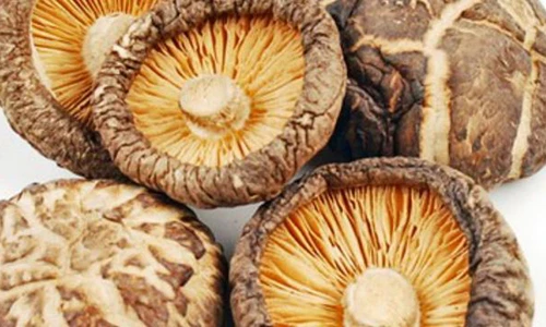 Video: 10 thực phẩm “vàng” giúp cơ thể ít bệnh tật, tăng tuổi thọ