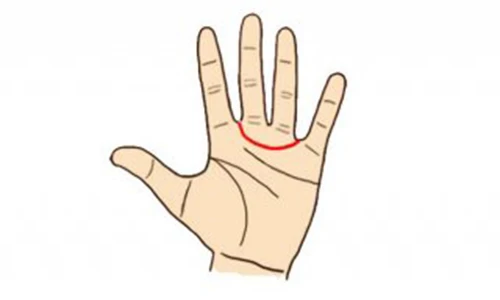 Video: Khám phá vận mệnh người sở hữu những đường chỉ tay đặc biệt