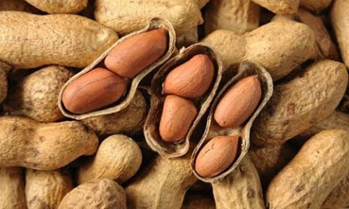 Video: Ăn 1 nắm lạc mỗi ngày, điều tuyệt vời sẽ đến với cơ thể bạn