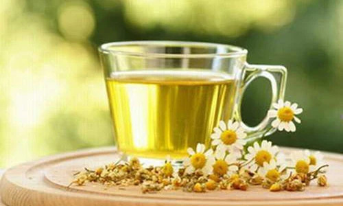 Video: Bài thuốc từ hoa cúc trắng chữa hoa mắt, chóng mặt