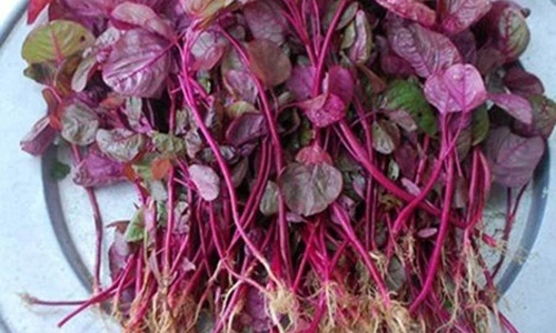 Video: Cách làm trắng da toàn thân bằng rau dền