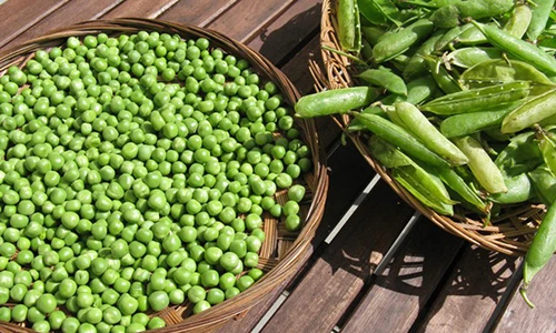 Video: Loại hạt “vua hút chất độc“: Ăn đều có thể sạch mạch máu, sống thọ