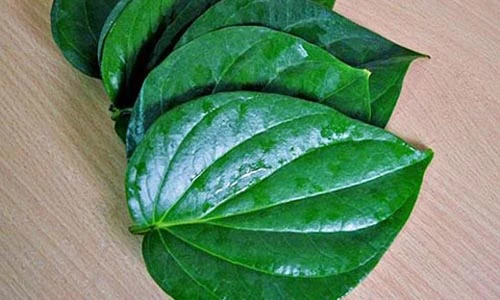 Video: Xúc miệng bằng nước lá này, mảng bám nhiều đến đâu cũng bong sạch sẽ