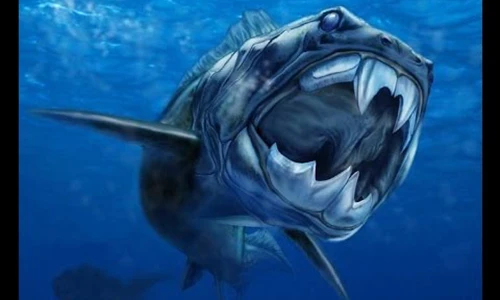 Video: 10 quái vật biển có hình dáng kỳ dị mà bạn không tin chúng tồn tại